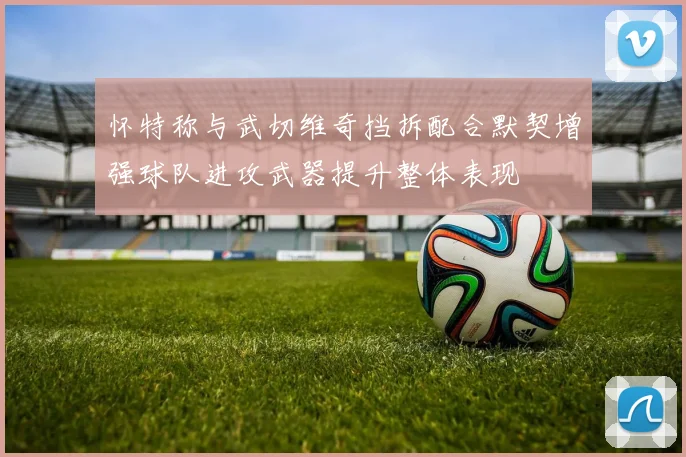 怀特称与武切维奇挡拆配合默契增强球队进攻武器提升整体表现