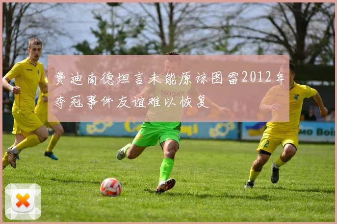 费迪南德坦言未能原谅图雷2012年夺冠事件友谊难以恢复